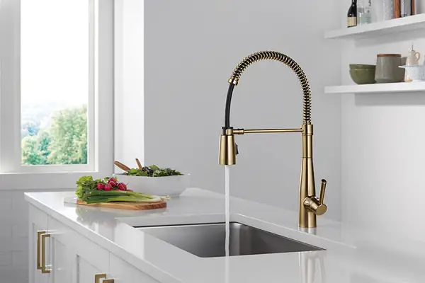 Lab Utility Sink Fixture